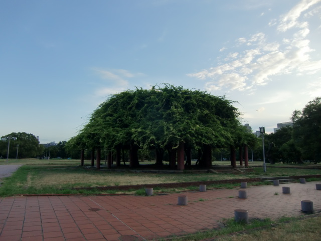 おだやかな空