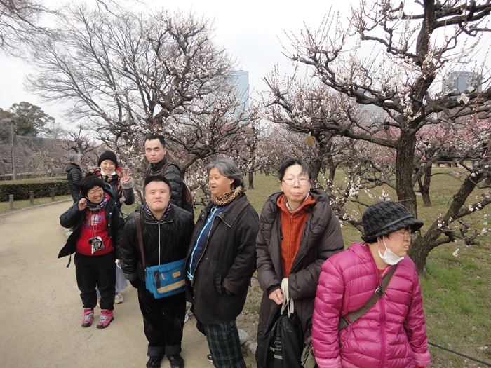 画像の説明
